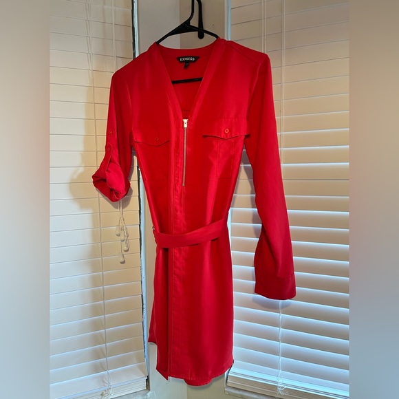 Express Red Dress - Picture 4 of 8